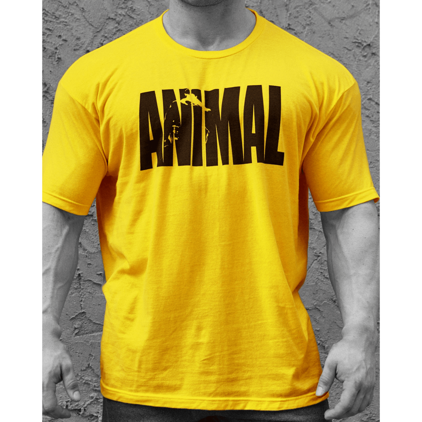 Universal Animal T-Shirt "Iconic" yellow